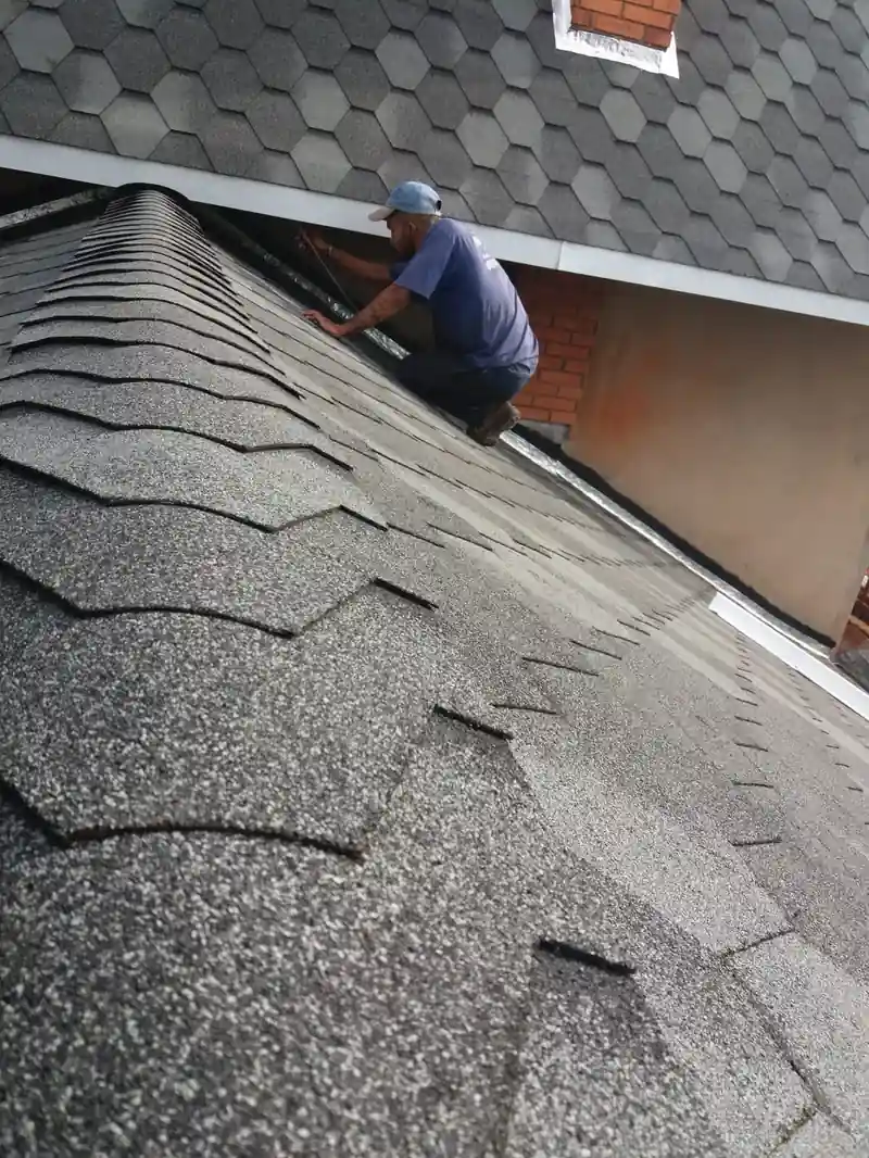 Detalhe da textura hexagonal da telha shingle próximo à chaminé